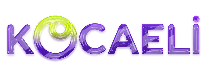 e-Kocaeli Proje logo